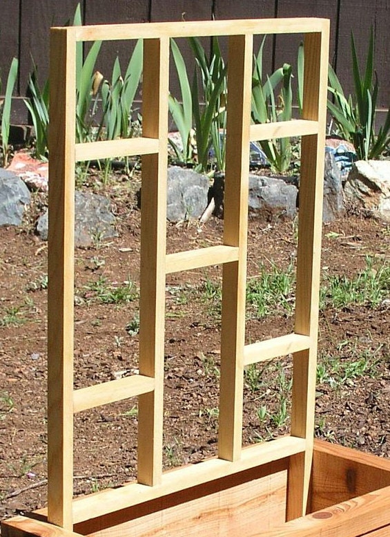 Mid Century Modern Contemporary Domino Trellis