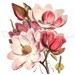 Antique Magnolia Botanical Flower Digital Download Image Iron on Fabric Transfer Burlap Decoupage Pillows Cards Scrapbook  No. 1