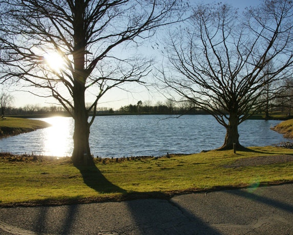 Nature Photography, 8x10 Print, Scenic Photography, Lake, Trees, Sunbeam, Sunshine, Landscape Picture