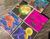 Geekery at its Finest Microbiology Microorganisms Ceramic Tile Coaster Set of 5