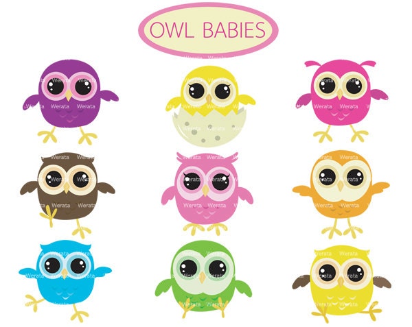 clipart baby owls - photo #32
