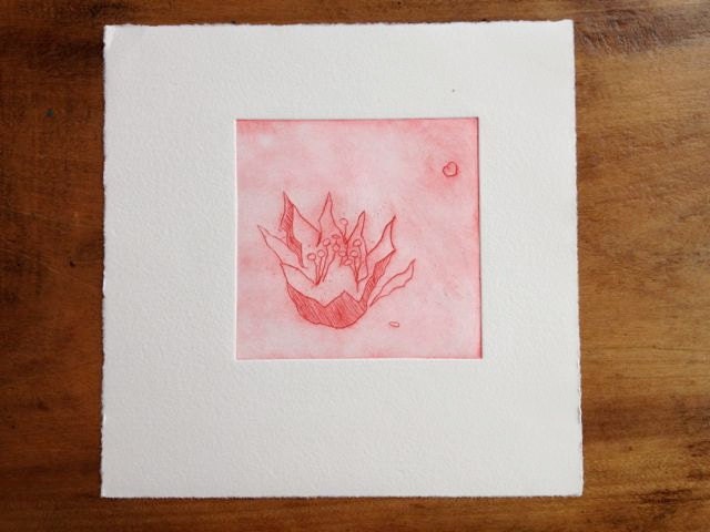 flora in fragments (original etching)