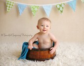 Flag Bunting, Designer's Choice Boy Themed Flag Banner,  Photo Prop, Party Decoration. 9 Medium Sized Flags in Boy Colors and Prints.