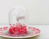 Happy Easter - Paper Bird Nest in Cloche