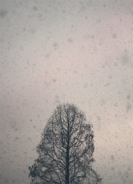 Winter redux - approx 18x13cm / 5x7in fine art glossy photo print - fpoe, snow, snowing, february, silhouette, tree, sky, sunset, snowflakes