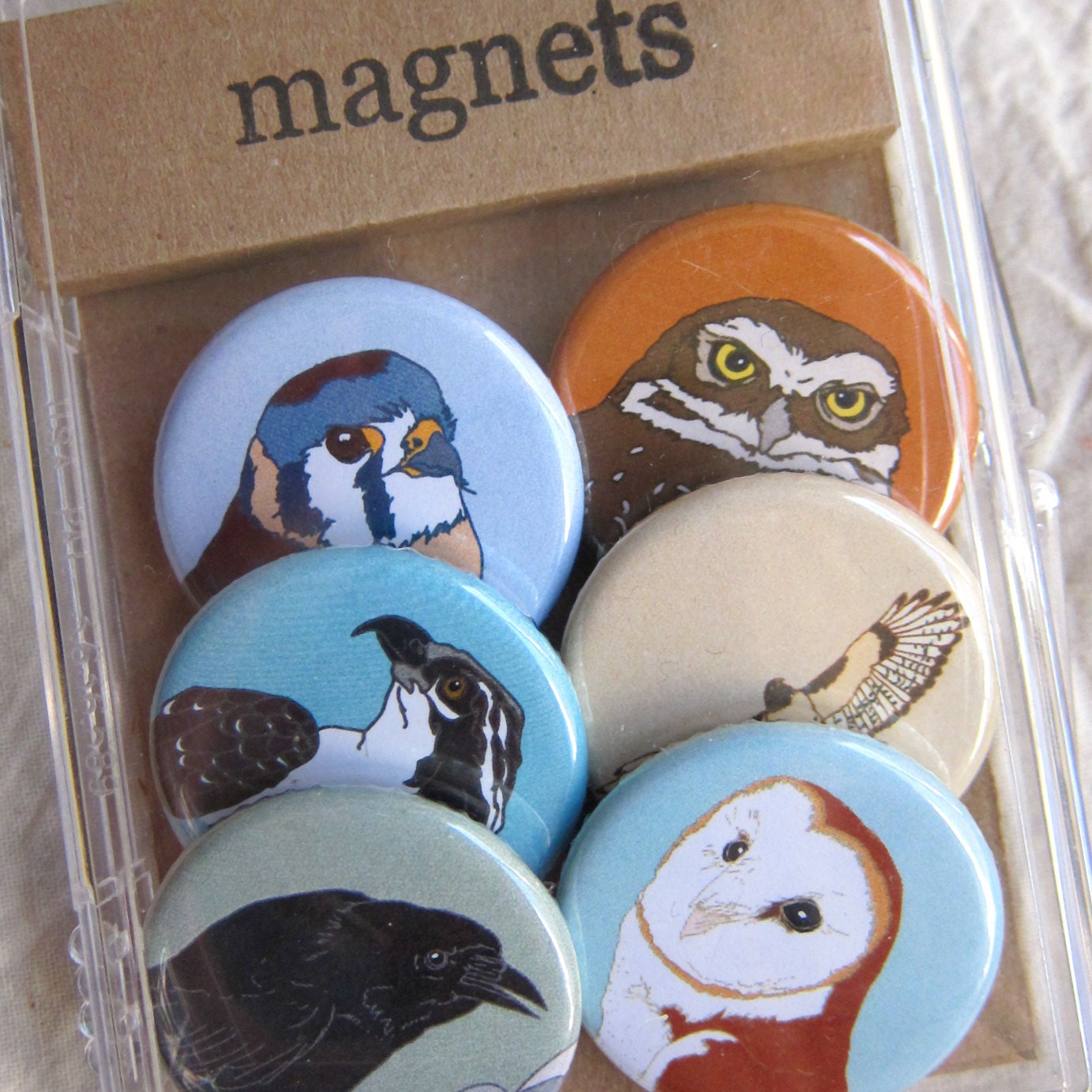 Bird of Prey Magnets--Original Artwork--Bird Lover Gift