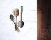 Antique Artifact Spoons Collection circa 1860's