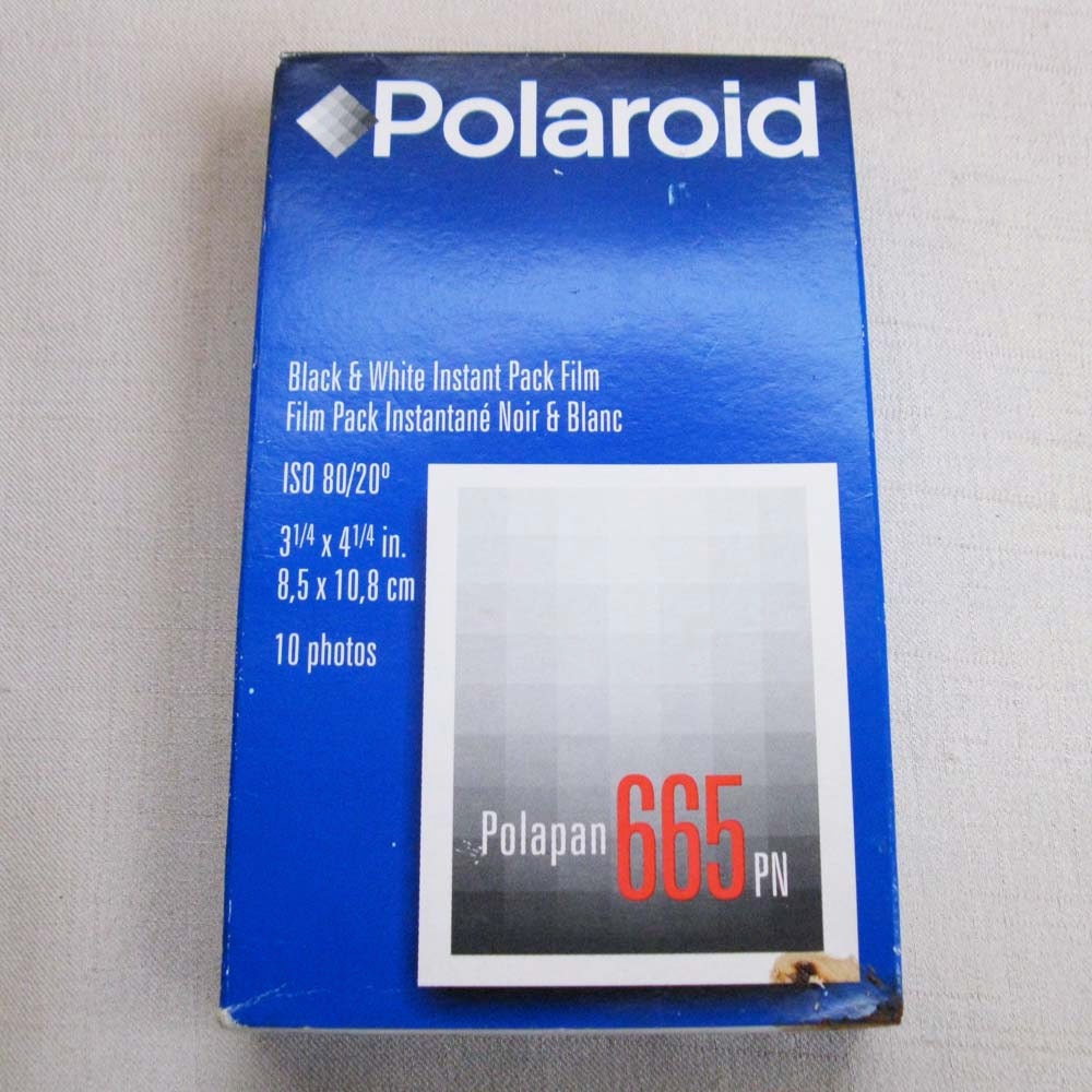 Polaroid Polapan 665 PN Professional Black and White Instant Camera Film, 10 Sheets Positive/Negative Film, Sealed in Original Package