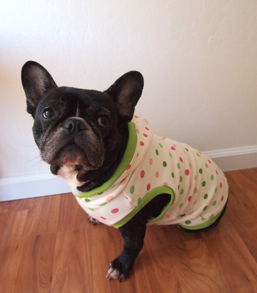 Multi-colored polka dot hoodie