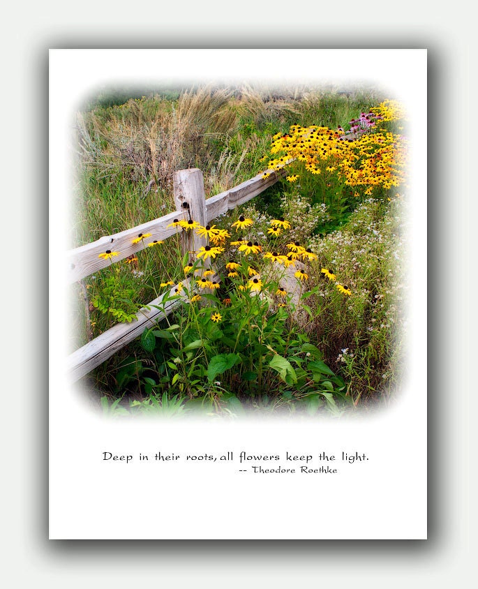 Note Card Set of 6 -Flower Card -Flower Photography -Blank Note Cards -Greeting Cards -Garden Card -Invitations