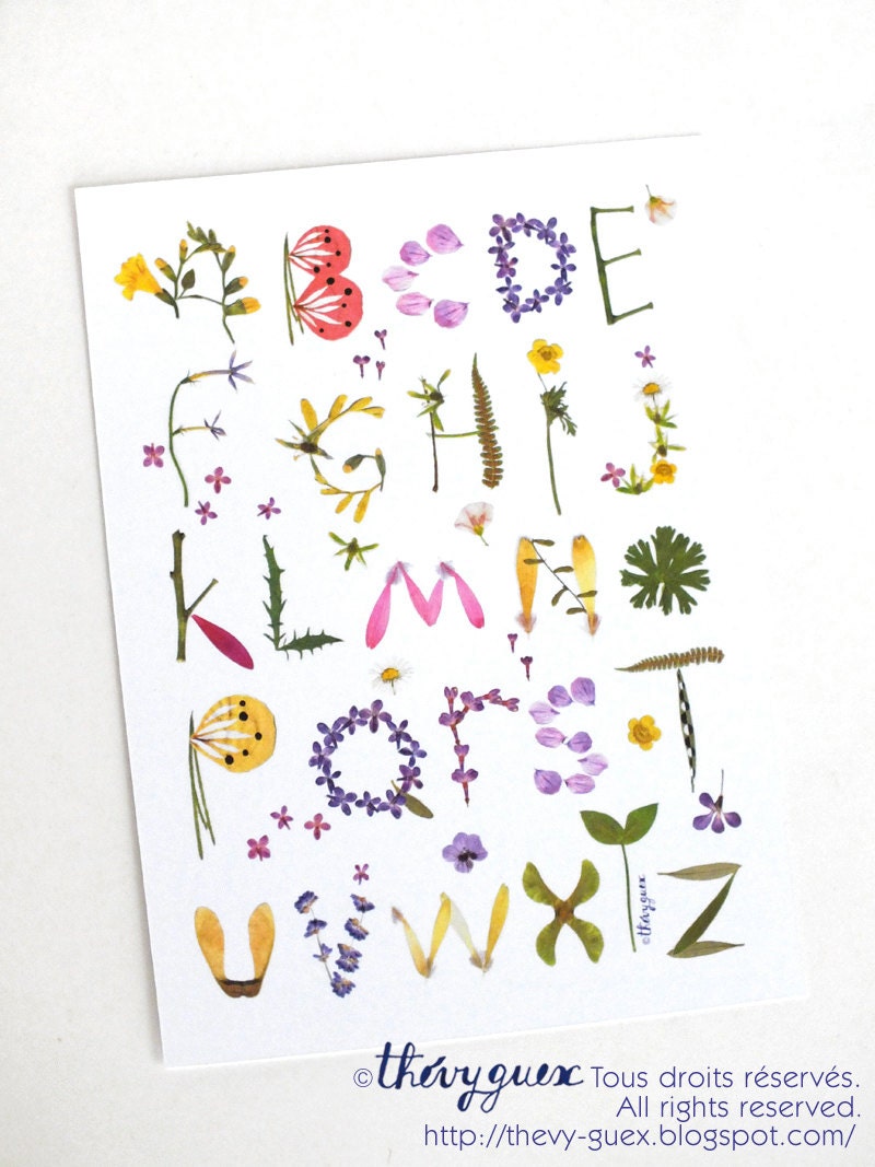 Herbarium Alphabet Flower Print Letter Art Postcard/Botanical Art Card