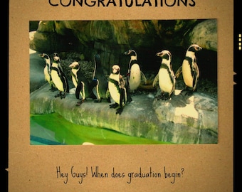 Graduation Photograph Card Penquins Congratulations