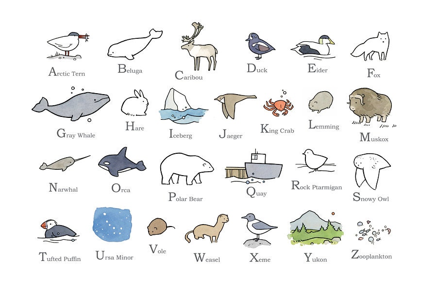 Illustrated Alphabet - Arctic North - 13x19 Nursery Art