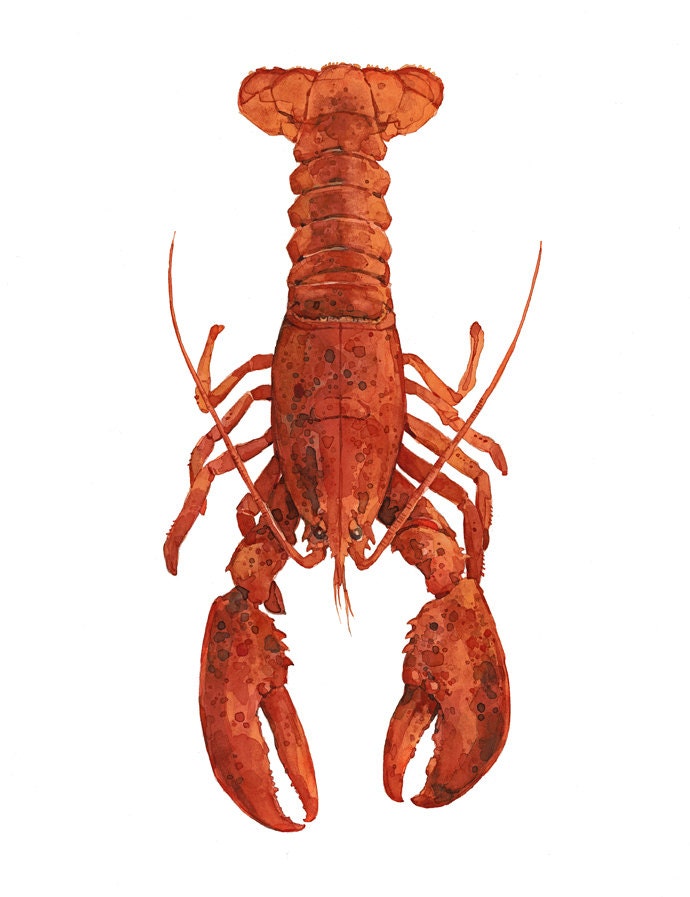 Red Lobster Watercolor Painting Print