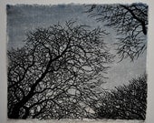 Tree No. 12 Woodblock Print Blue - Award Winner