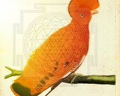 Totem Animal Reading . Simplicity Version