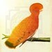 Totem Animal Reading . Simplicity Version