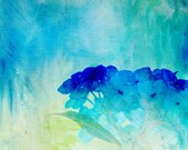 Sunwarmed Hydrangeas 12x18 Fine Art Print digitally painted nature photograph - aqua turquoise cobalt blue - bbrunophotography