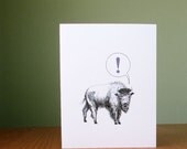 Buffalo surprise notecard // bison buffalo // for graduation, birthday, announcements, and all exciting occasions