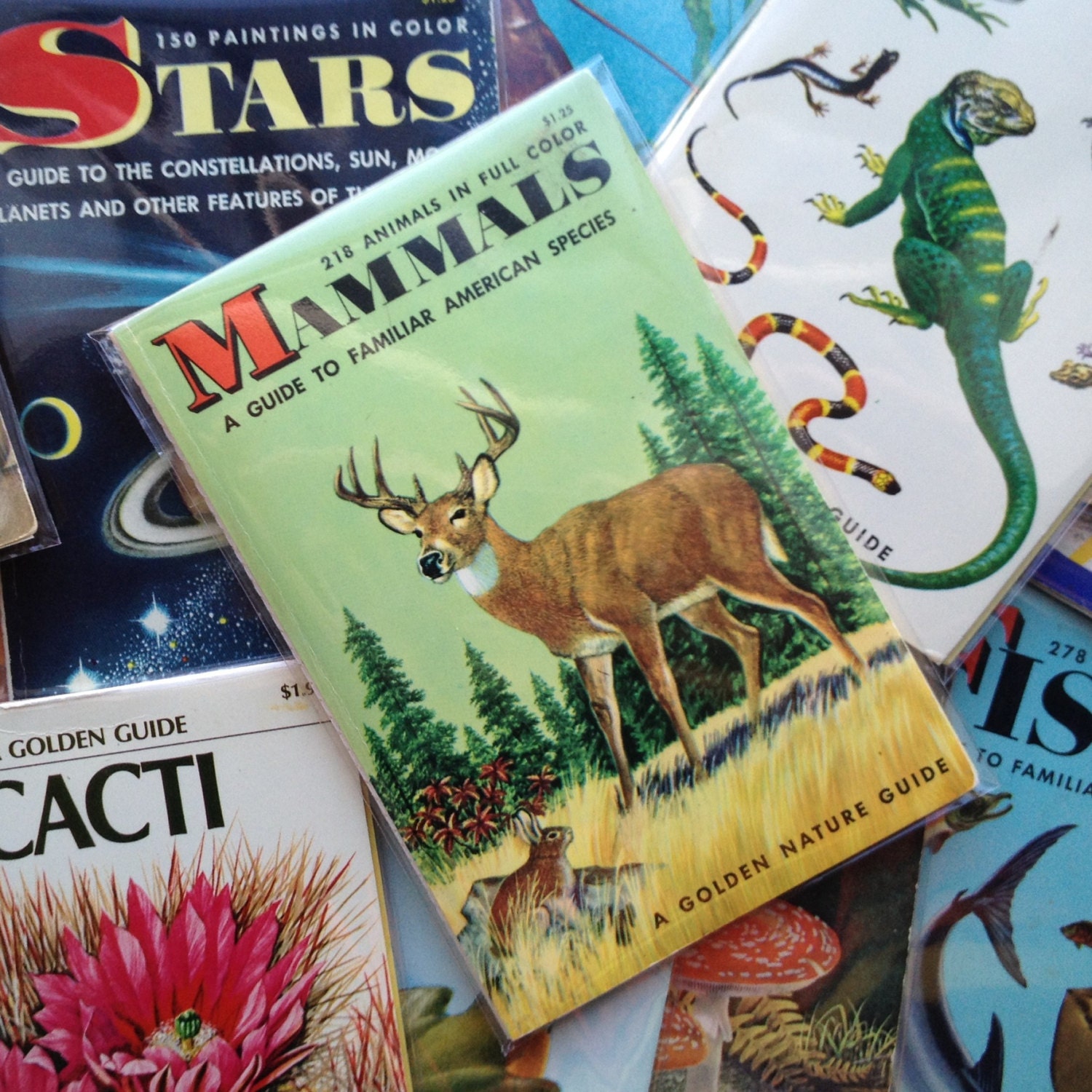 Mini Notebook- Mammals- Repurposed Vintage Field Guide Book Cover