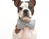 Grey Chevron Dog Bow Tie - Wedding Accessories For Dogs