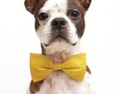 LIMITED AVAILABILITY - Yellow Green Houndstooth Dog Bow Tie - Dog Collar Accessories