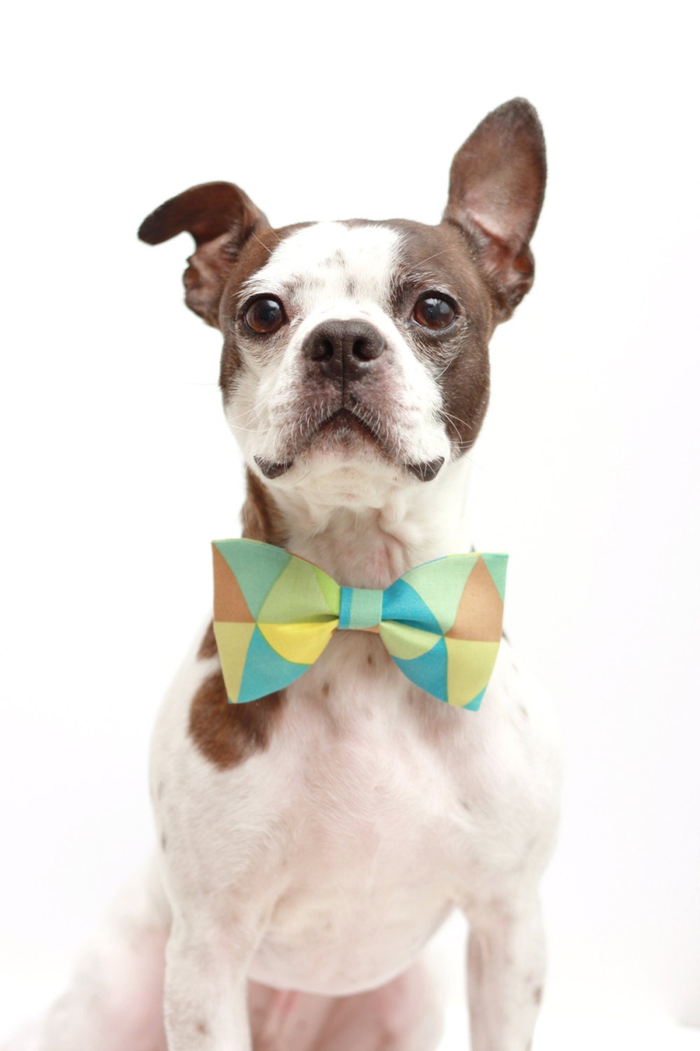 Retro Geometric Dog Bow Tie - Dog Collar Accessories