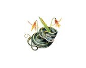 Snake - Coiled Garter Snake with Wildflowers Archival Quality Print