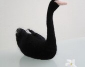 Needle felted Black swan.