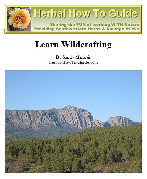 Learn Wildcrafting (Harvesting Wild Plants), A Full PDF Book - download via Etsy