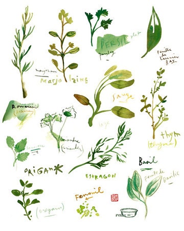 Herb print, Watercolor painting, Kitchen decor, Botanical poster, food art, Green, 5X7