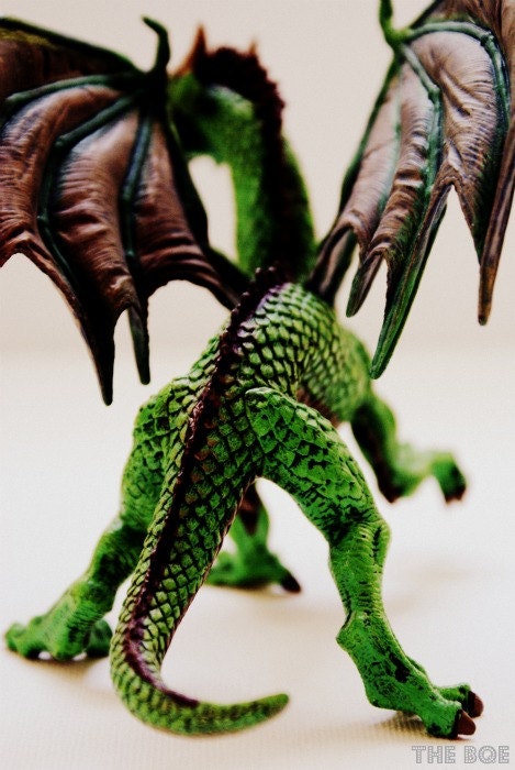 Woodland Dragon Appears 8x12 Photography, Woodland Mythical Creature, Fantasy Decor