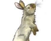 a little rabbit 4.25x5.5 notecard from original artwork