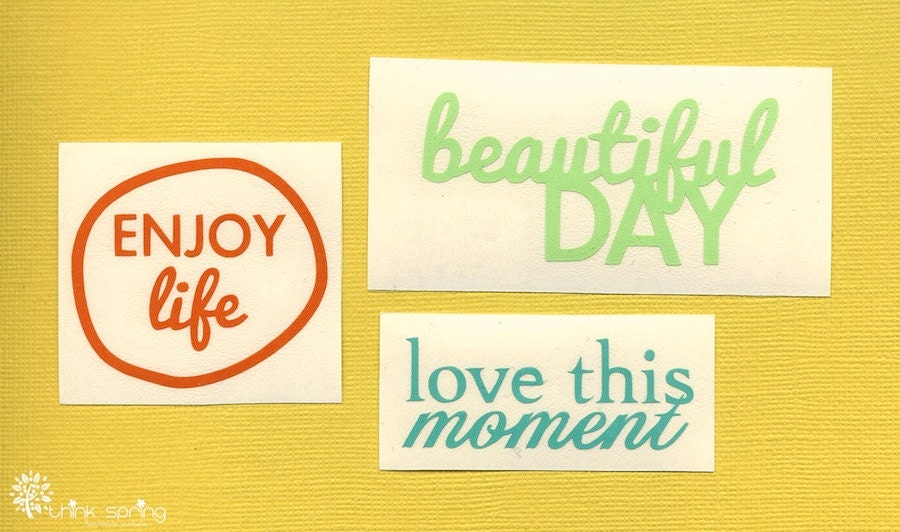 Vinyl Decals - ENJOY LIFE