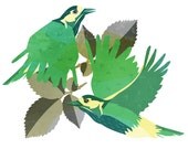 Woodpeckers Print Small