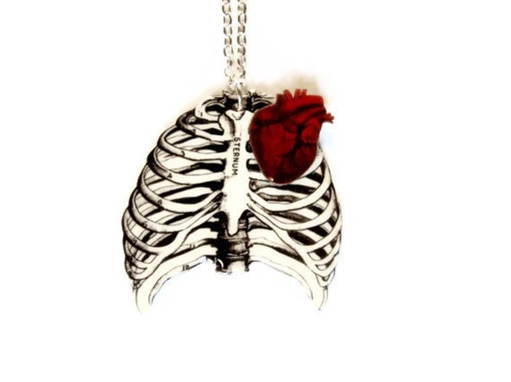 Anatomical Rib Cage Necklace Anatomical Heart Red Anatomy Anatomically Correct Statement Jewelry Medical Illustration