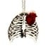 Anatomical Rib Cage Necklace Anatomical Heart Red Anatomy Anatomically Correct Statement Jewelry Medical Illustration