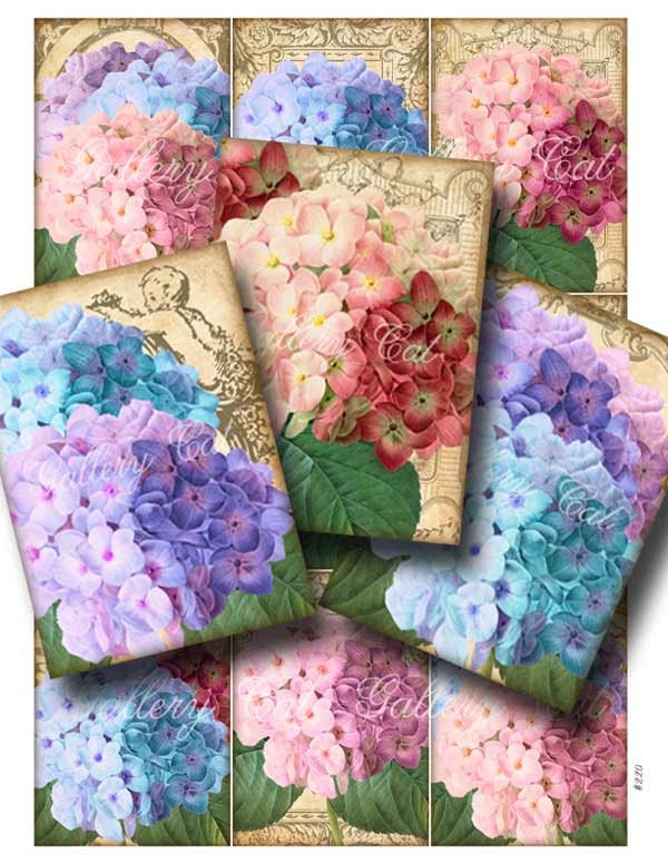 SUMMER SNOWBALLS Digital Collage Sheet Vintage Hydrangea Instant Download Scrapbooking Gift Tags Labels Cards Art Crafts GalleryCat CS220