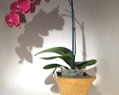 Vintage Gold Planter or Vase - Square