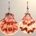 Natural Maroon and White Striped Seashell Dangle Earrings