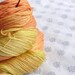 Hand Dyed Sock Yarn BFL Silk 100g - Spring Cheer