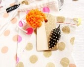 FEATHER transparencies