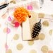 FEATHER transparencies