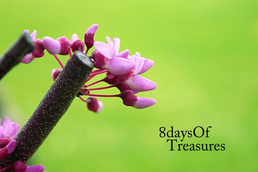 Green, Purple, Spring, Pink, Neon,  Floral Photography, Floral, Summer, Nature Photography, Home Decor, Wall Decor