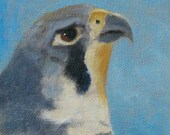 Peregrin Falcon oil painting