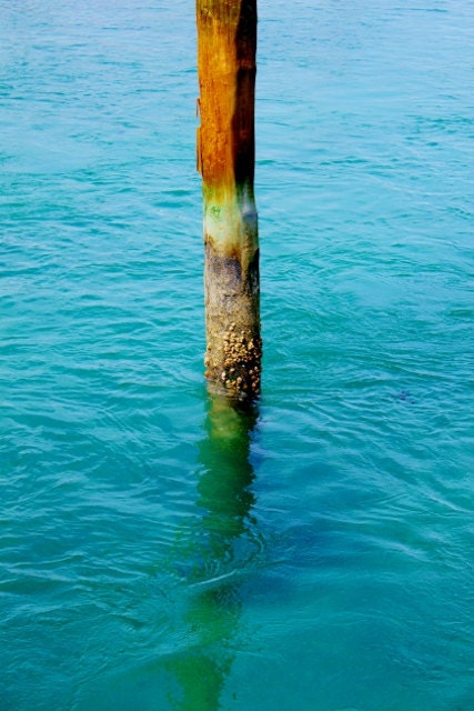 Nautical Decor, Ocean Photography, Dock Piling in Fresh Creek Harbor