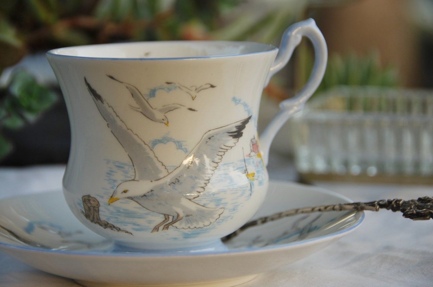 Vintage Queens Tea Cup and Saucer, "Seagull", White and Light Blue, England
