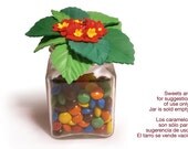 Primula flowers style lid recycled glass jar