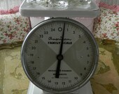 White American Family Kitchen Scale 25 Pounds