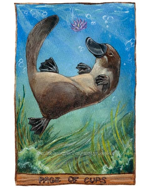 Platypus Print, Tarot Card Art, Page of Cups, 8x10 Wall Art, Swimming Platypus, Lotus Print, Animal Illustration 8x10